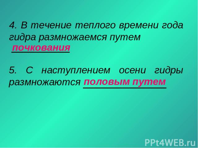 Кракен пользователь не найден что